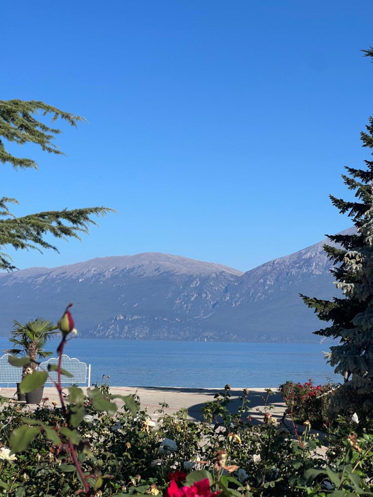 Charming House Apartment Pogradec Exterior photo